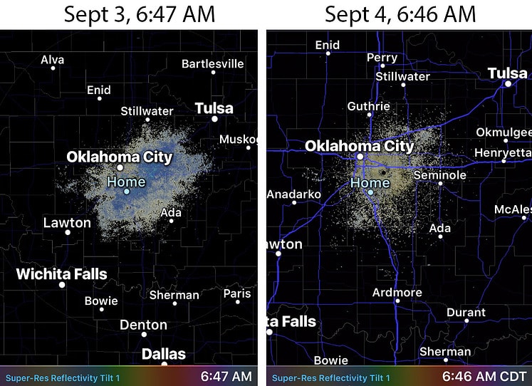 radar echoes bird map 2