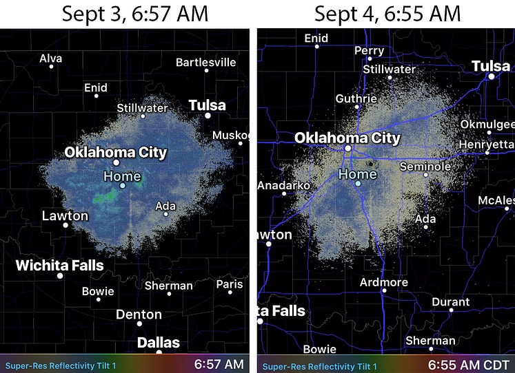 radar echoes bird map 3