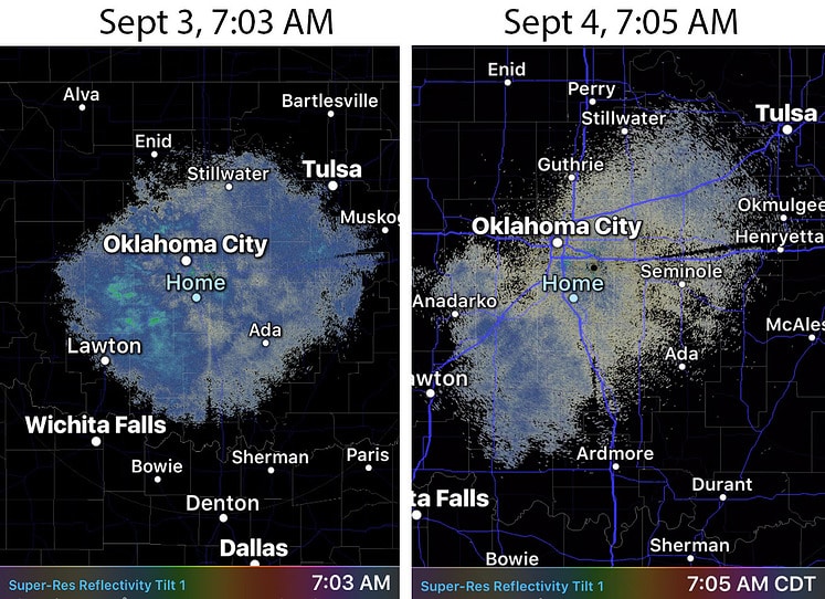 radar echoes bird map 4