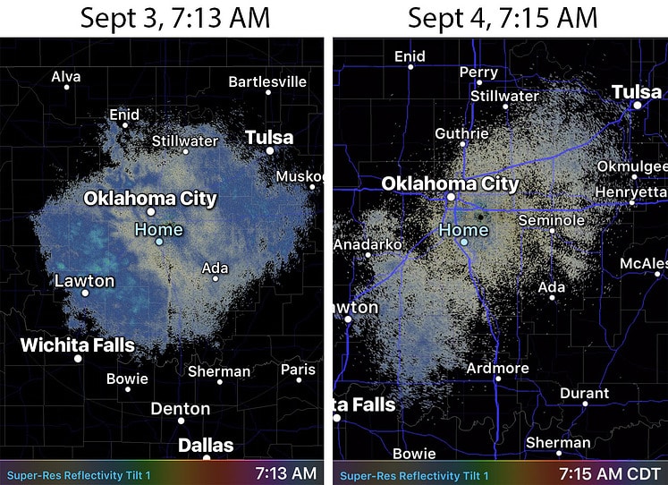 radar echoes bird map 5