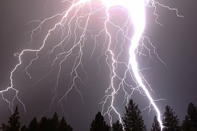 lightning strike at night tree silhouettes