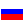 Russia Flag Icon