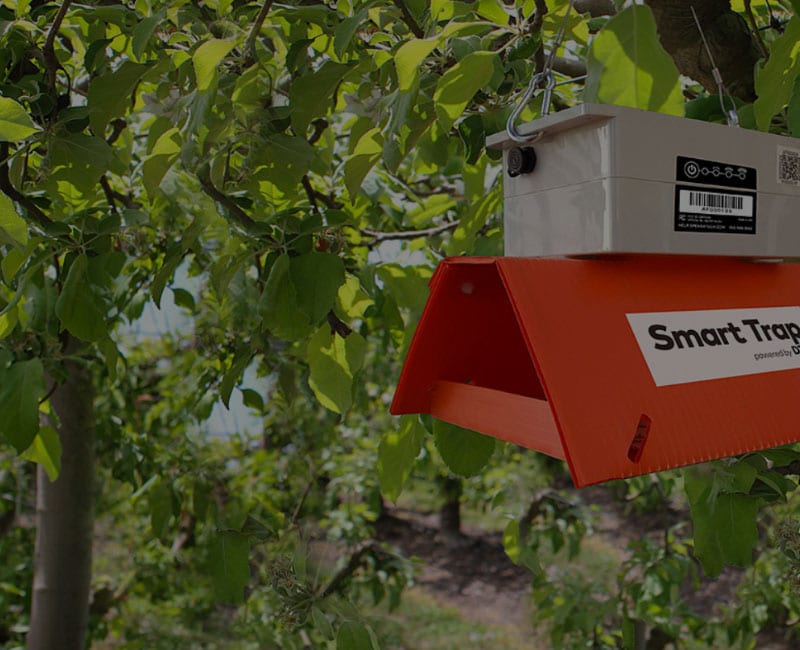 dtn smart trap resource half