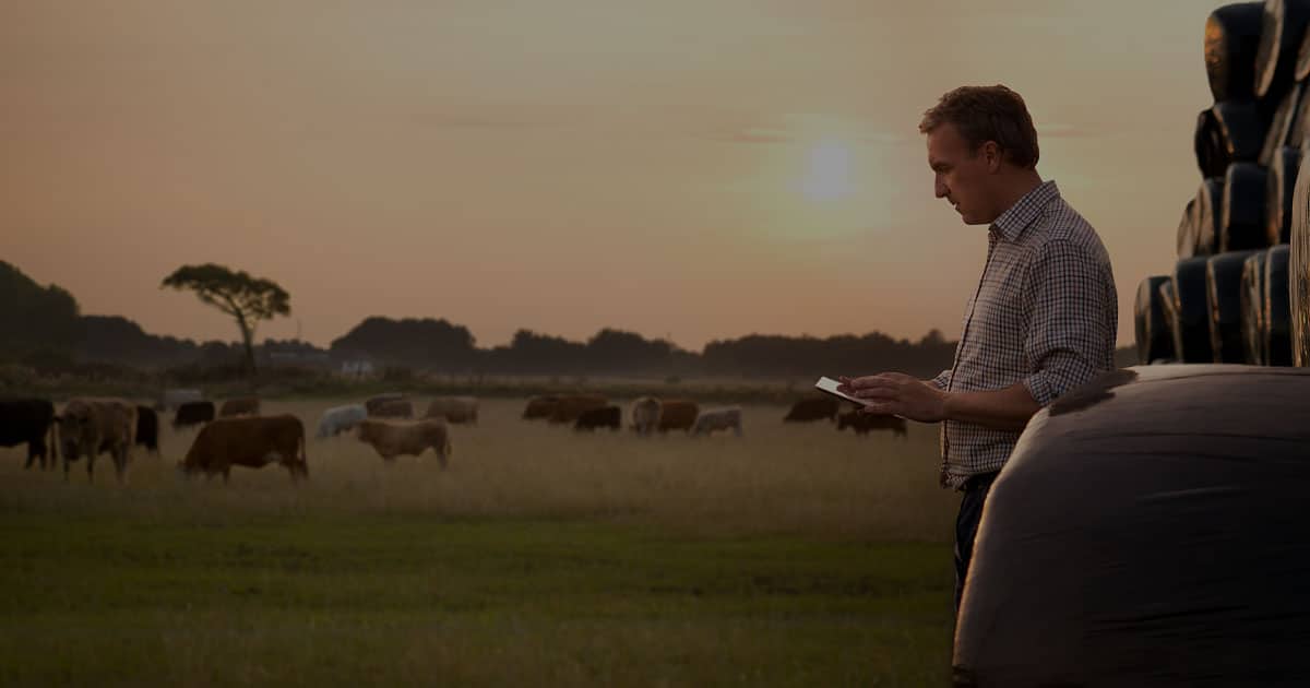 farmer with ipad leaning on hay bales in livestock field