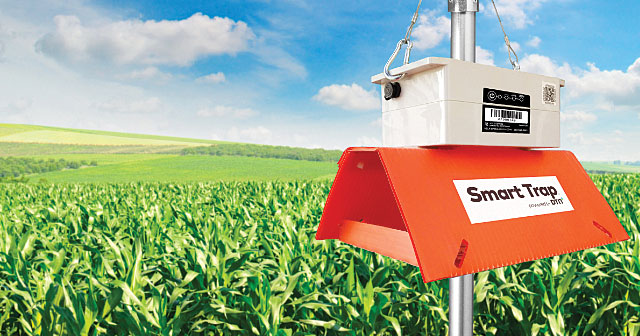 dtn smart trap in front of corn field and blue sky