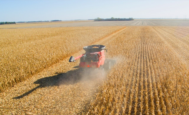 Red Combine in Field