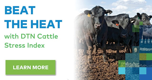 beat the heat cattle stress index news header