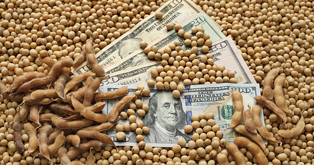 news header soybean pile with money