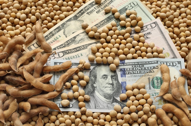 Soybeans and money