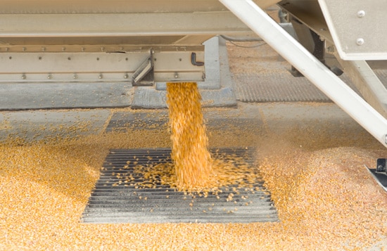 Corn on Elevator