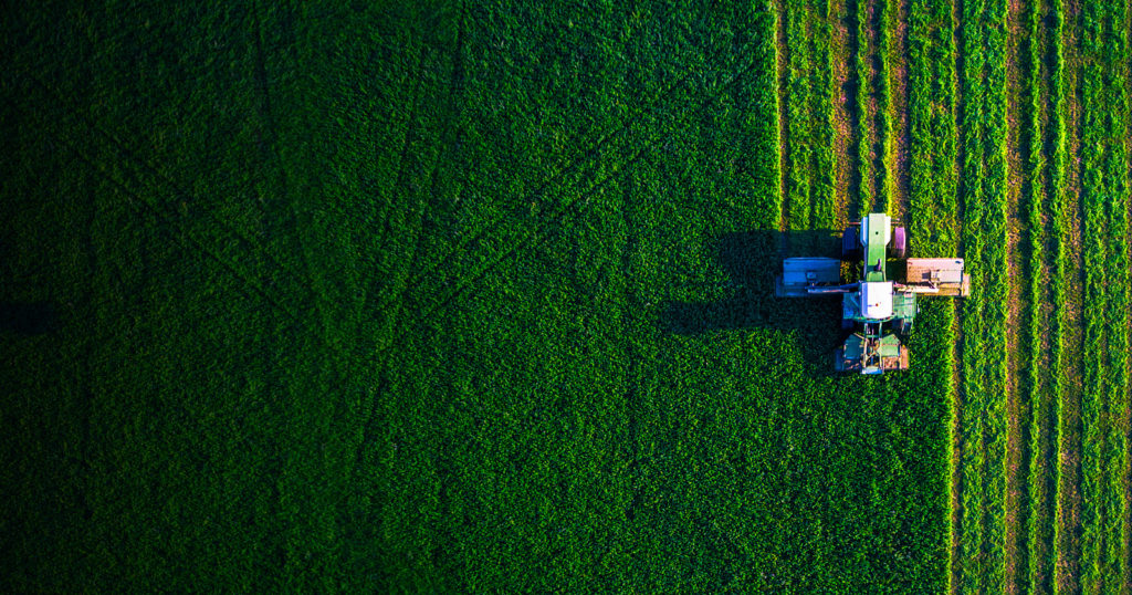 farmers in green field