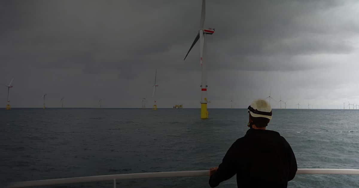 man at ship rail looking at wind farm nowcastingpro