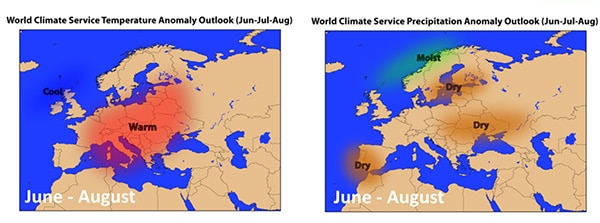 Temperature & Precipitation Anomaly Outlook June through August