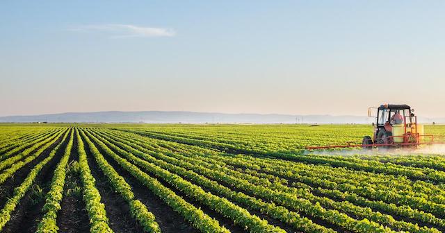 Agricultural Field