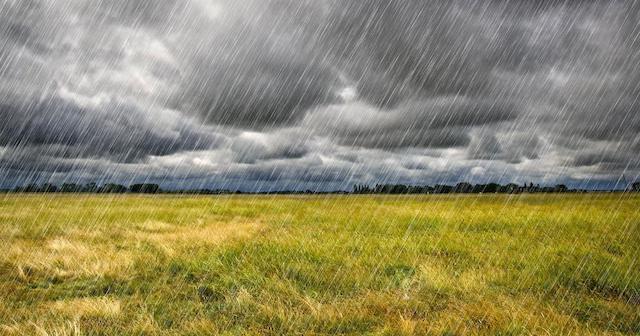Heavy Rain over a field