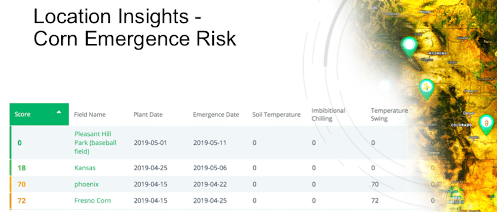 corn emergence risk