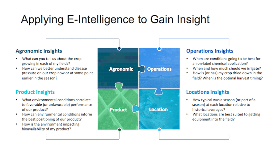 Applying E-intelligence to gain insight