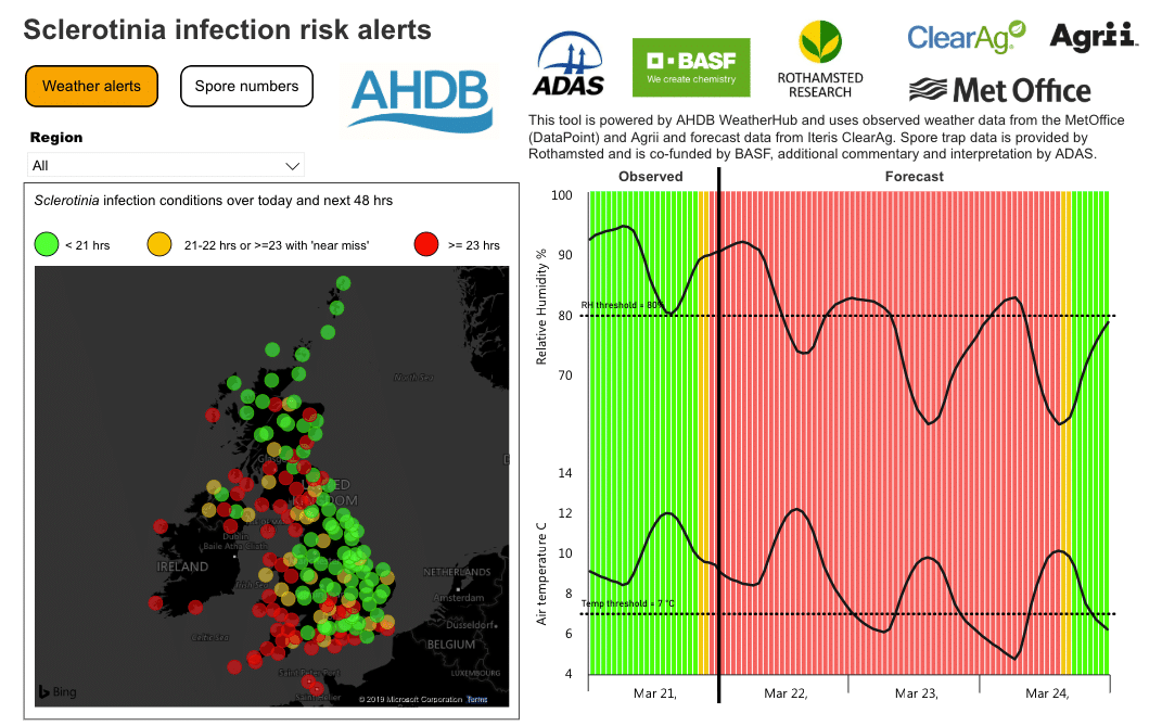 Sclerotinia infection risk alert map