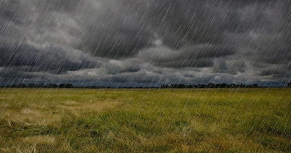 rainy dark field