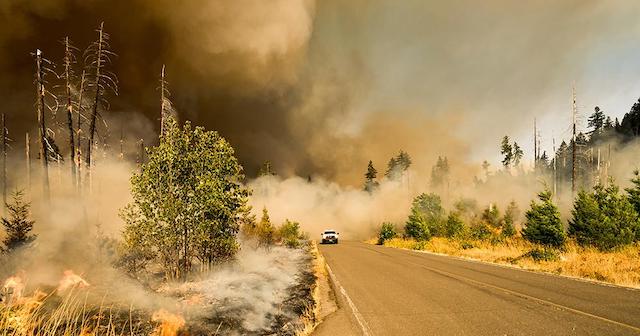 Wildfires 101: How to Tackle Extreme Fire Weather