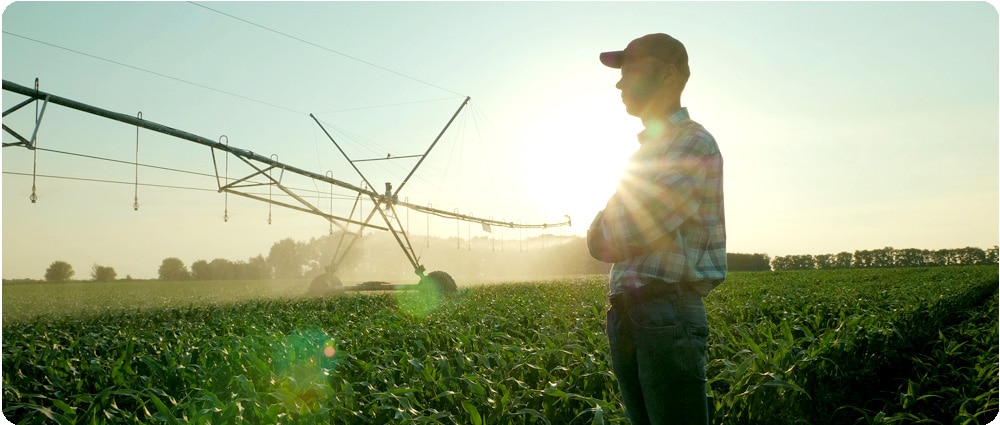 Farmer watching sprinkler irrigation