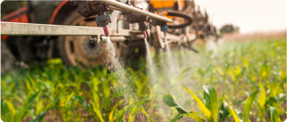 spraying pesticide in field