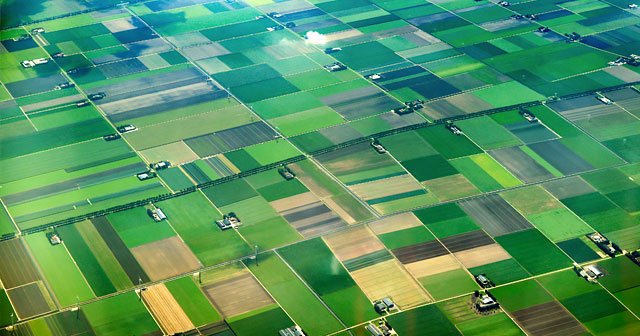 aerial view of farmland