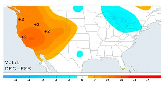 News Insights Weather Map