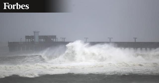 News Insights FORBES Zombie Storm