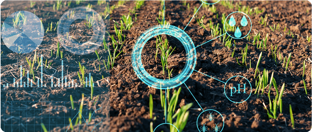 Soil Data