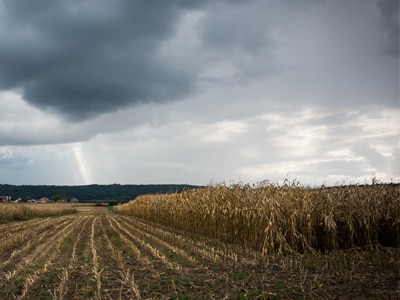 severe weather in cropfield