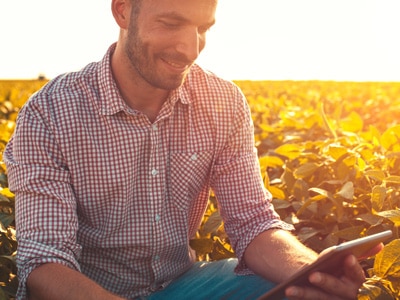 farmer crouching in soybean field on tablet