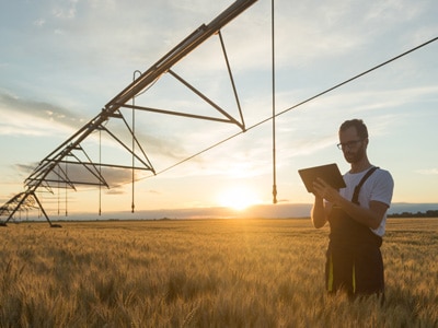 young farmer on tablet in wheat field