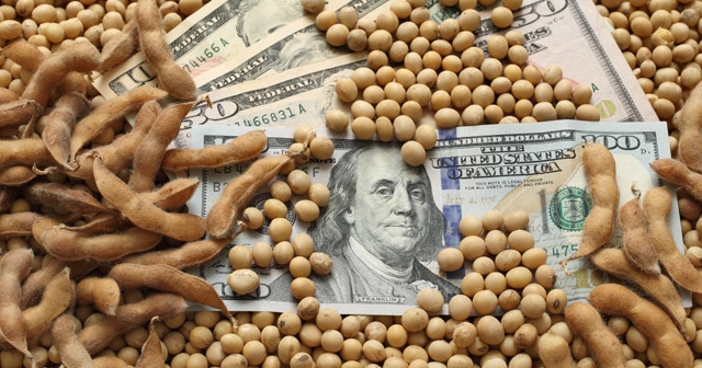 Blog header Money in Soybeans