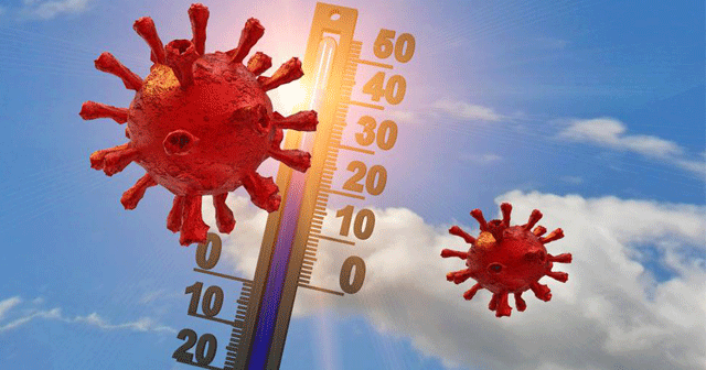News Insights Weather and Covid 19
