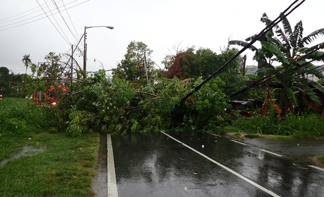 Power lines down from tropical storm