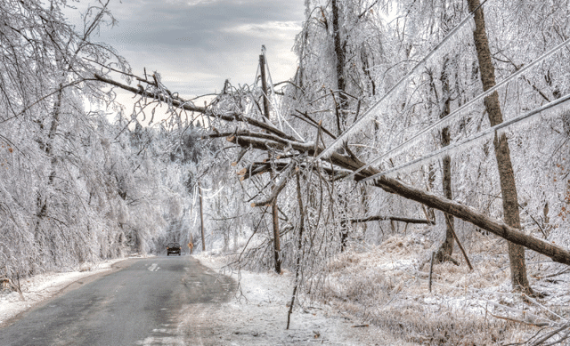 Power lines in Winter storm