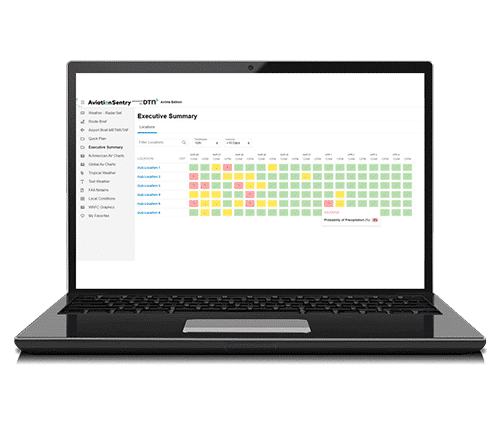 AviationSentry Executive Summary Laptops