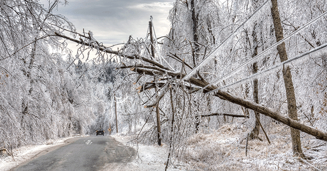Blog Header Power line down from Ice Storm