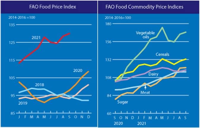 Food Price Inflation