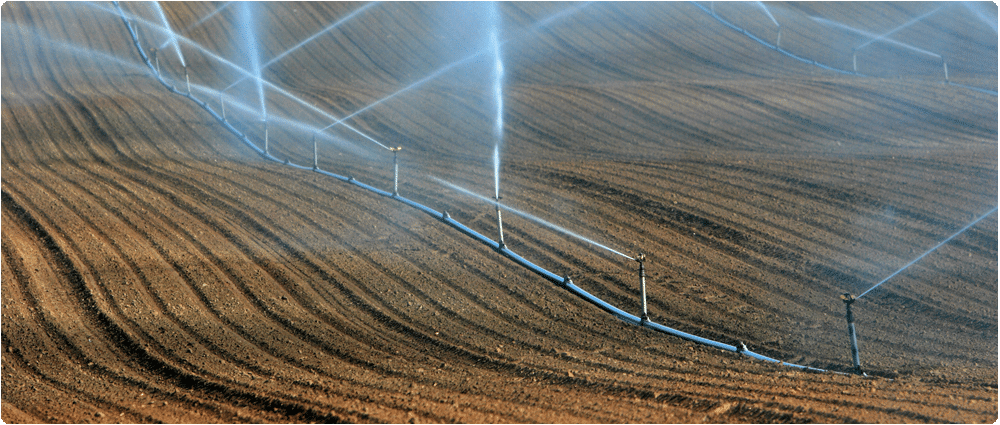 Field irrigation