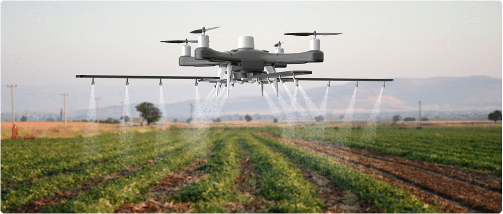 Drone spraying cropfield
