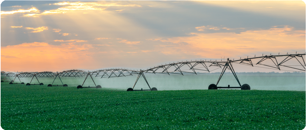 Irrigation system watering agriculture field