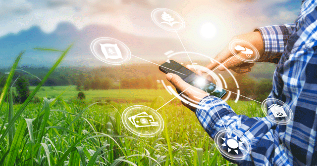 Blog header Smart Farming phone