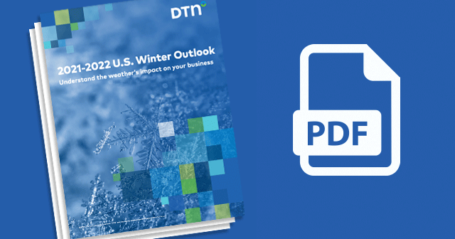 News Insights Winter Outlook PDF