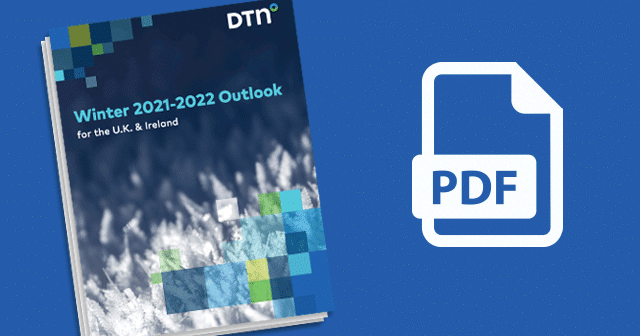 News Insights Winter Outlook PDF