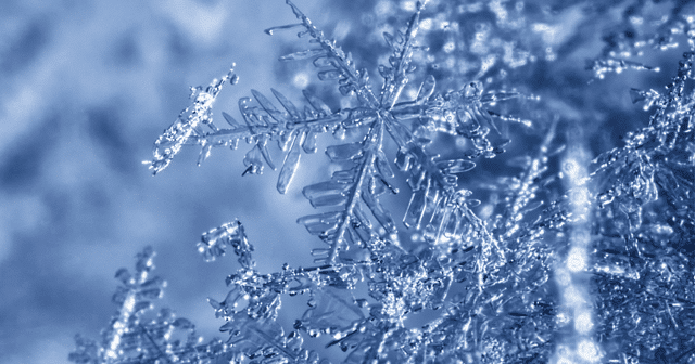 Blog header Winter Snowflakes