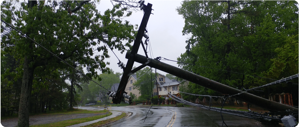 Fallen power pole
