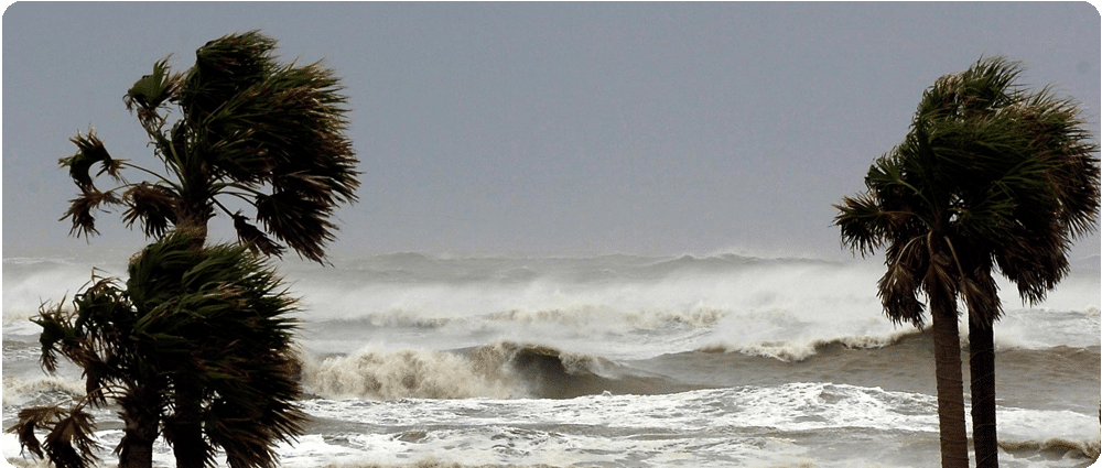 Strong waves in tropical storm