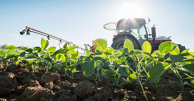 Blog header Tractor spraying soybean field